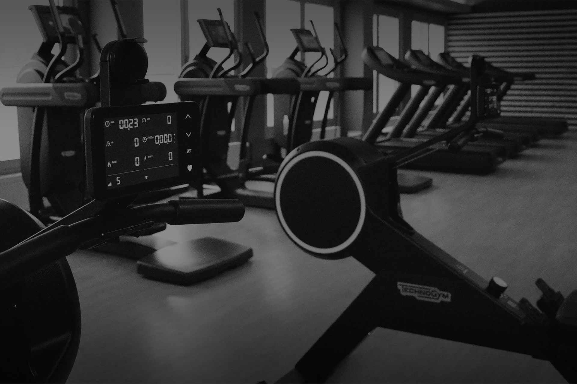 Verschiedene Cardio-Fitnessgeräte stehen aufgereiht vor einer Fensterfront.